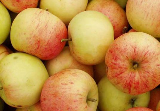 どのように冬のためのリンゴを保つために？