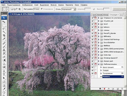 Photoshop CS3 Photoshop CS3の使い方