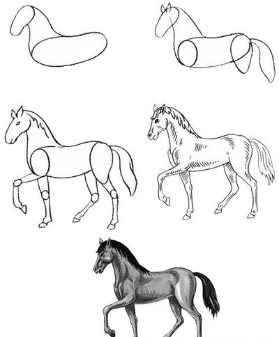 ステージで馬を描く方法は？